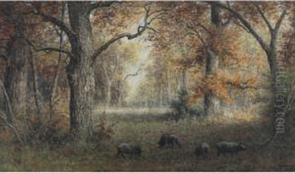 Pigs Grazing In Autumnal Woods - view 1