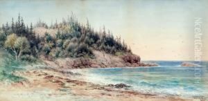 Bay Scene