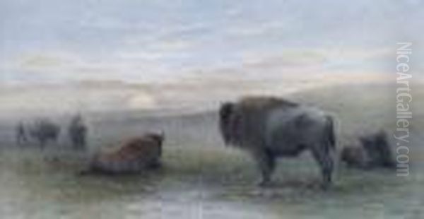 Bison, Moonlight - view 1