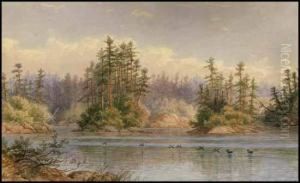 Loons, Lake Of The Woods by Frederick Arthur Verner