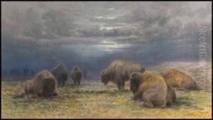 Buffalo Grazing During The Approaching Storm by Frederick Arthur Verner