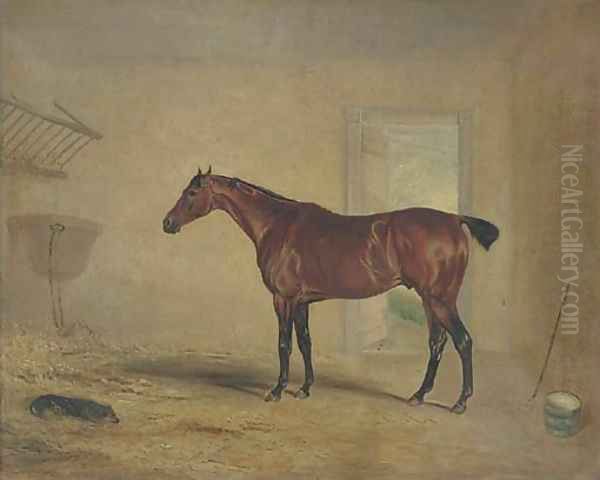 A bay hunter in a stable - view 1