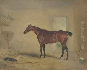 A bay hunter in a stable