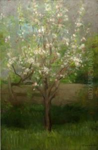 Copaciinfloriti by Arthur Verona
