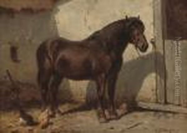 A Favourite Pony - view 1