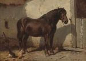 A Favourite Pony