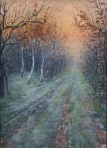 L?allee En Foret L?allee En Foret