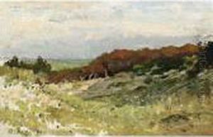 'duinlandschap' 'duinlandschap'