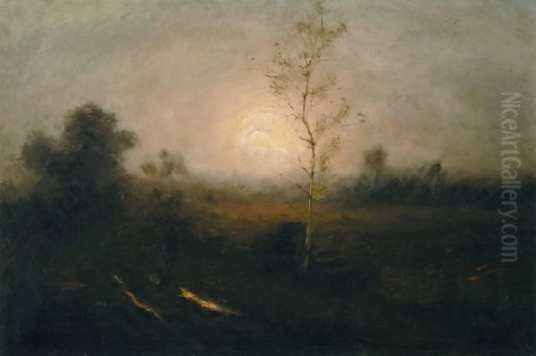 Avond Op Deheide - view 1