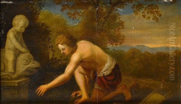 Narcissus - view 1