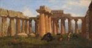 Bufale A Paestum