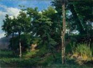 Luce Nel Bosco by Achille Vertunni