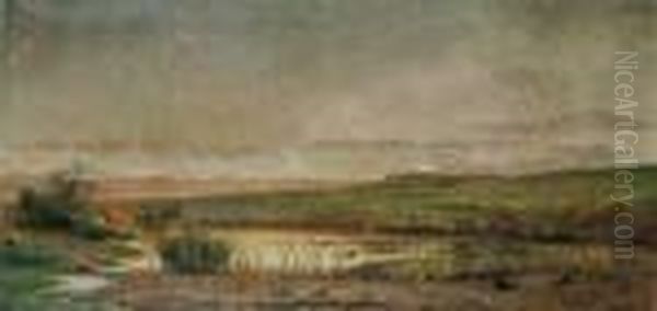 Landschaft In Den Maremmen. - view 1