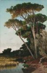 Pineta Pineta