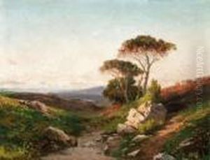 Paesaggio Paesaggio