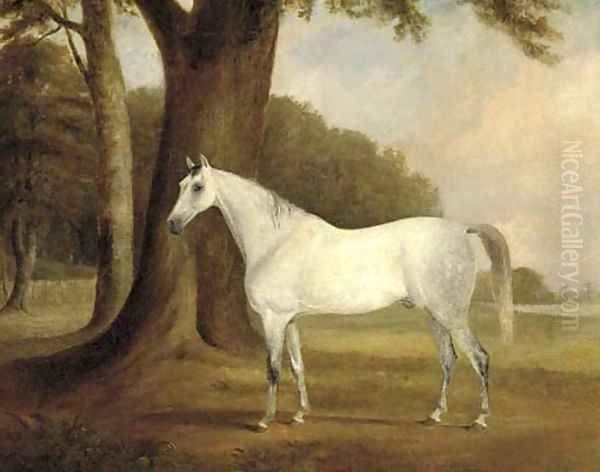 A dappled grey in a landscape - view 1