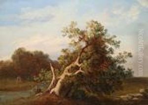La Lucedel Tramonto
