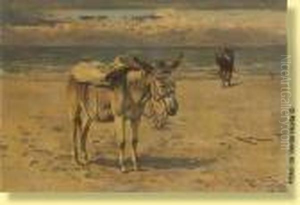 Nes De Pecheurs Sur La Plage - view 1
