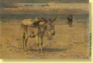 Nes De Pecheurs Sur La Plage