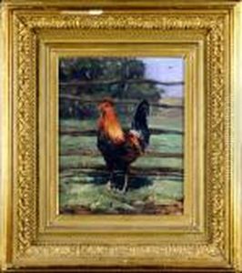 Le Coq by Alfred Jacques Verwee