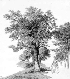 A wooded lake with an elegant couple walking by Rodolf Follerweder