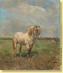 Cheval Dans Une Prairie