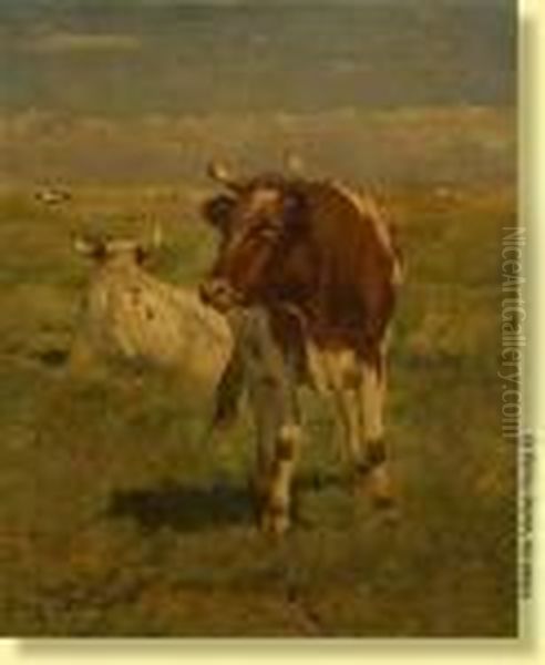 Vaches En Bord De Mer A Heist - view 1