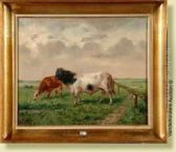 Taureau Et Vaches Au Pre - view 1