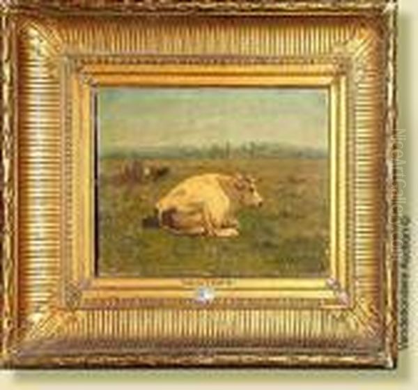 Vache Couchee Au Pre - view 1