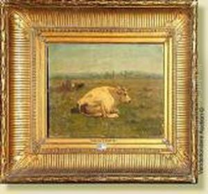 Vache Couchee Au Pre