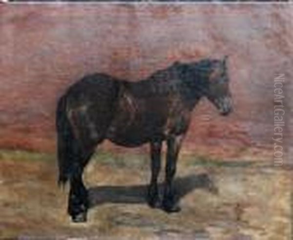 Portrait Of A Horse - view 1