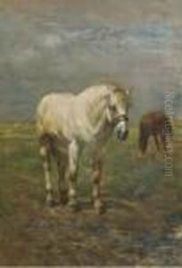 Horses In A Meadow