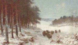 Sheep in a snowy landscape