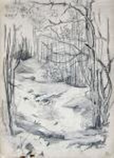 Landscape - view 1