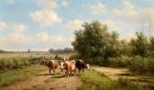 Kuhe Am Heimweg