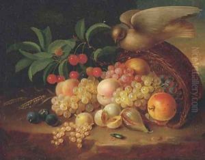 Peaches, cherries, grapes, an apple, plums and other fruit and a dove perched on a wicker basket by George Forster