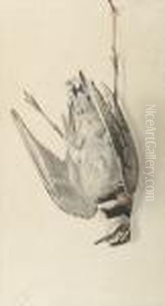 Nature Morte: A Bird - view 1