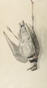 Nature Morte: A Bird Nature Morte: A Bird