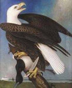 Louisiana Wild Life: After The Kill, American Bald Eagle With Duck Prey Louisiana Wild Life: After The Kill, American Bald Eagle With Duck Prey