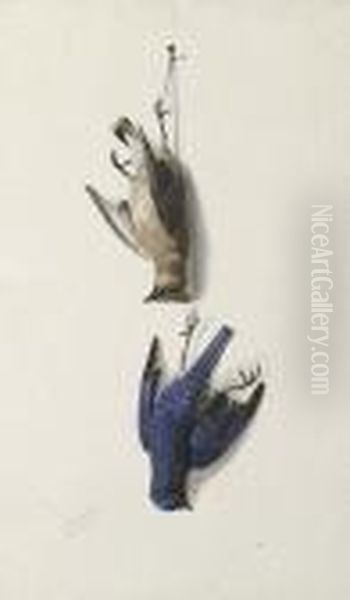 Nature Morte: Cedar Waxwing And Eastern Blue Bird - view 1
