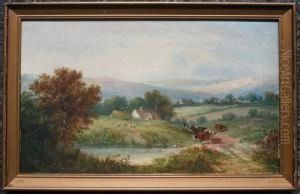 Ducks And Sheep In The Foreground