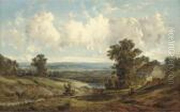 The Sunlit Rolling Hills - view 1