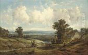 The Sunlit Rolling Hills
