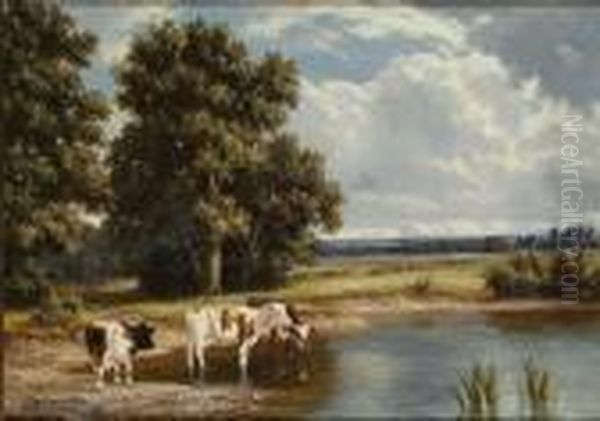 Hazelwell Mill Pool, Worcestershire, England - view 1