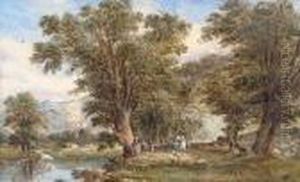 "an Avenue, North Wales" 1866; Bears Inscription On Old Exhibition Label Verso
