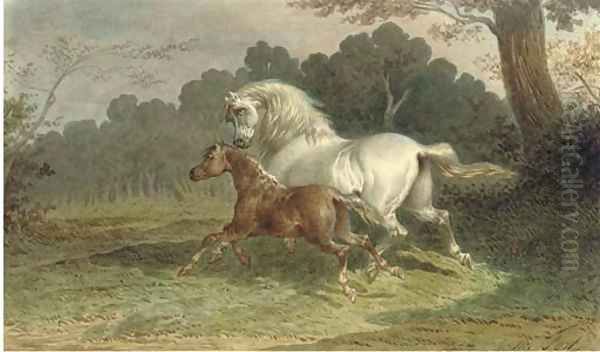 A grey mare galloping through a meadow with her foal at her side - view 1