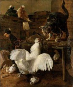 Zuffa Nel Cortile Tra Gatto E Gallina by Jacomo (or Victor, Jacobus) Victors