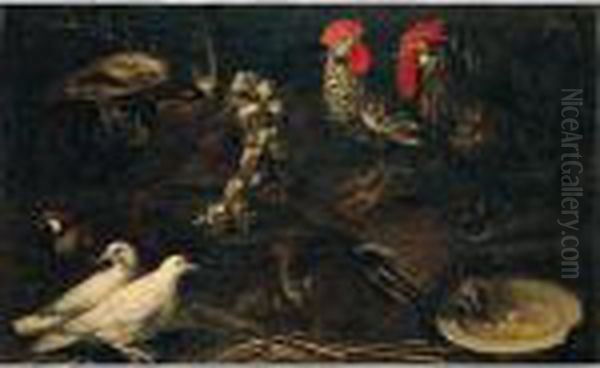 Still Life Of Cockerels, White 
Doves, A Jay, Grey And Red-legged Partridge And A Cat, Together With A 
Wicker Basket Of Garlic - view 1