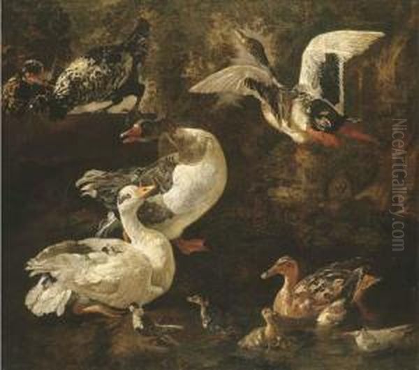Geese, Ducks And Ducklings In A Landscape With A Pond - view 1