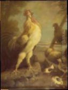 "gallo Nel Cortile" "gallo Nel Cortile"